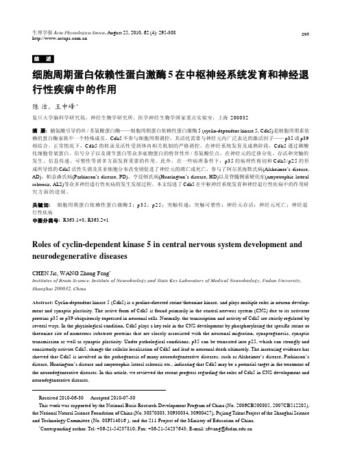 细胞周期蛋白依赖性蛋白激酶5 在中枢神经系统发育和神经退行性疾病中的作用