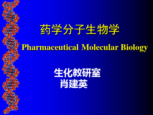 药学分子生物学PharmaceuticalMolecularBiology-PPT课件