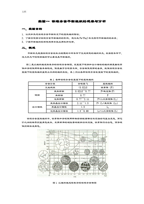 实验一铁碳合金平衡组织地观察与分析报告