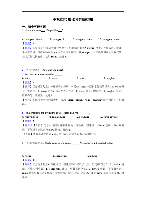 中考复习专题 名词专项练习题