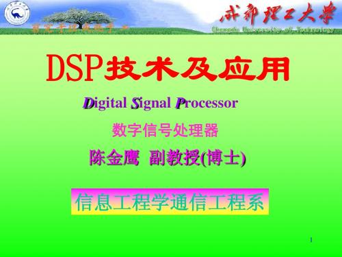 DSP技术及应用 成电陈金鹰 教授的讲义