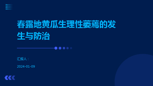 春露地黄瓜生理性萎蔫的发生与防治