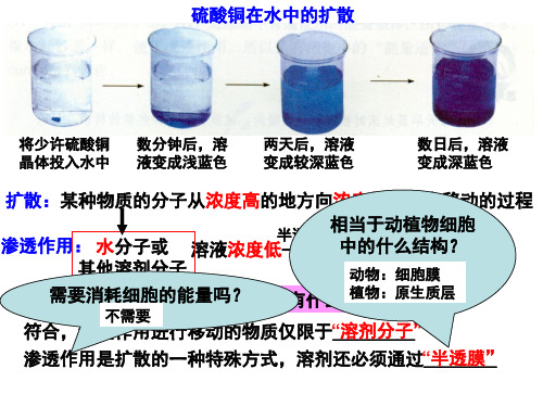 4.3-物质跨膜运输的方式 课件(新人教版必修1)