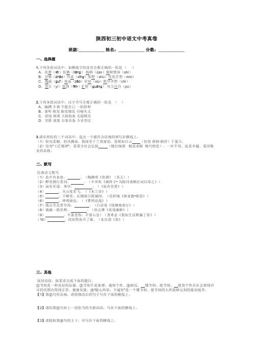 陕西初三初中语文中考真卷带答案解析
