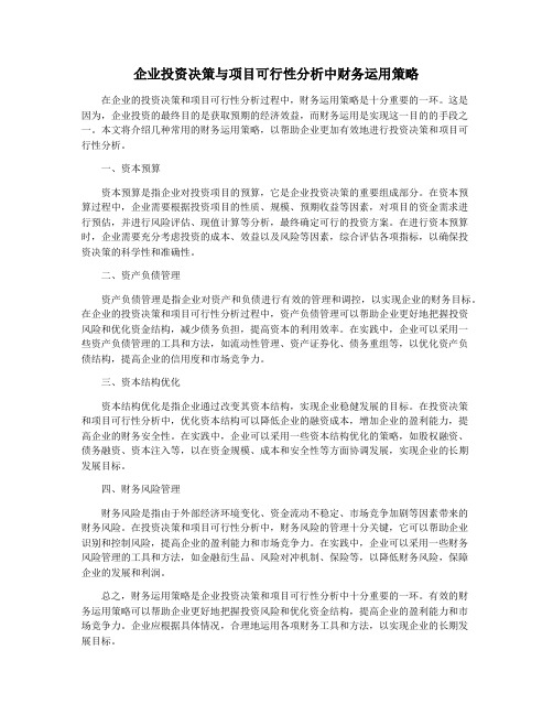 企业投资决策与项目可行性分析中财务运用策略