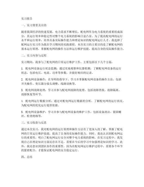 配网运行实习报告