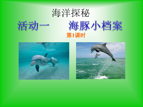 五年级上册综合实践课件-5.1海豚小档案 |沪科黔科版 (共16张PPT)