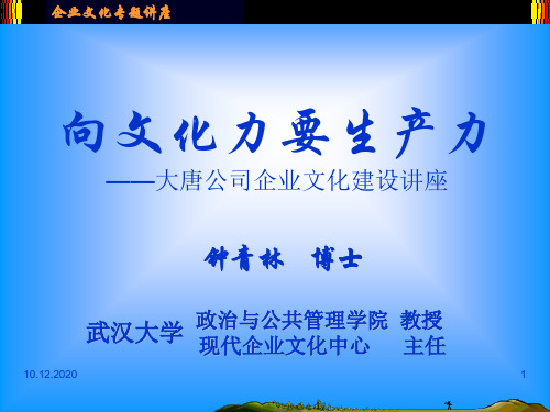 大唐公司 企业文化.ppt