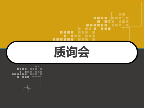 质询会 PPT