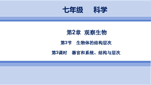 浙教版科学 7年级上册 第2章 第3节 第3课时 器官和系统、结构与层次