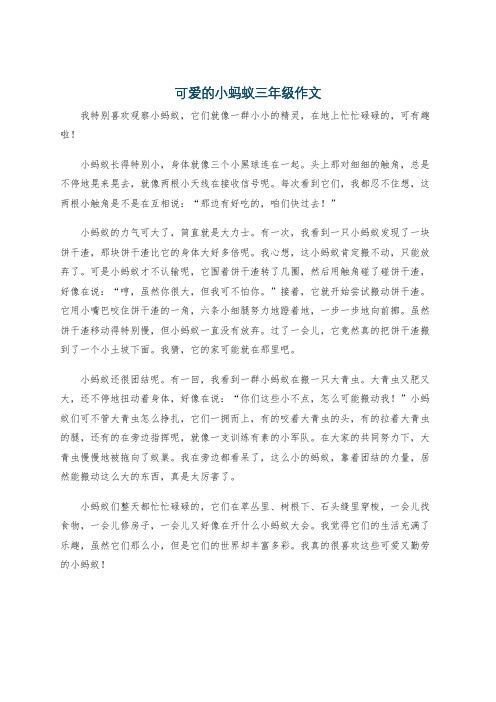 可爱的小蚂蚁三年级作文