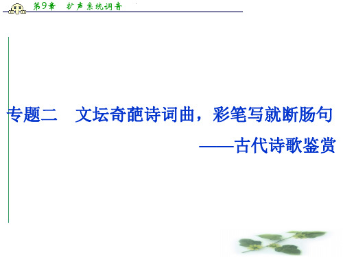 优化方案高考总复习·语文(山东专用)课件：第三部分 古代诗文阅读 专题二