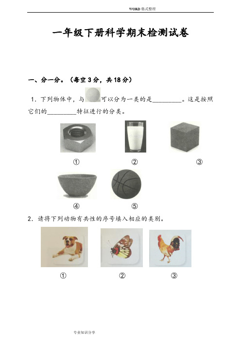 2018一年级(下册)科学期末考卷