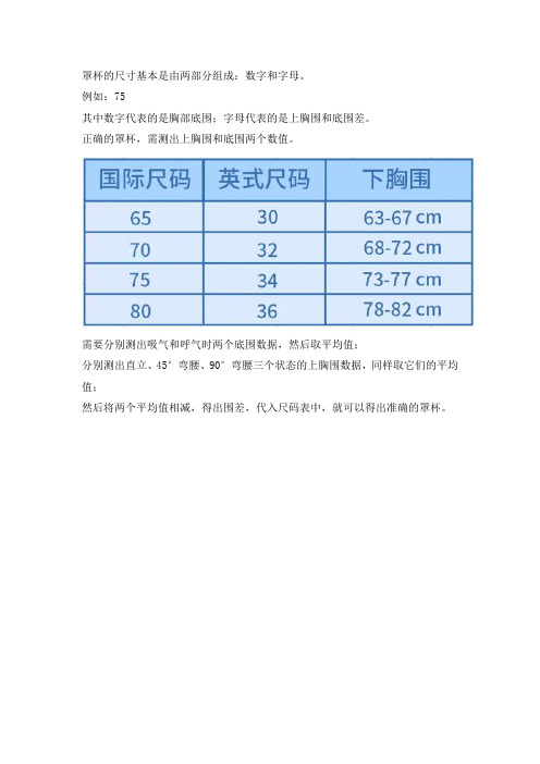 胸的尺码对照表abcd