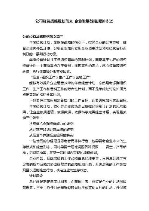 公司经营战略规划范文_企业发展战略规划书（2）