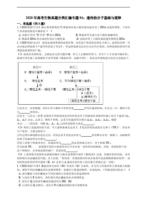 2020年衡水中学高考生物真题分类汇编专题04：遗传的分子基础与规律 (2)