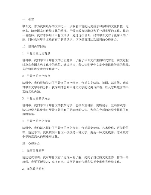 教师甲骨文培训心得体会