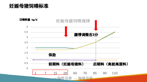 养猪生产—妊娠母猪的饲养与管理(动物生产技术课件)