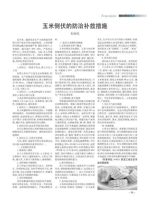 玉米倒伏的防治补救措施