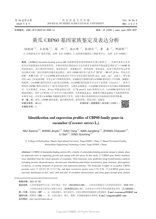 219387073_黄瓜CBP60_基因家族鉴定及表达分析