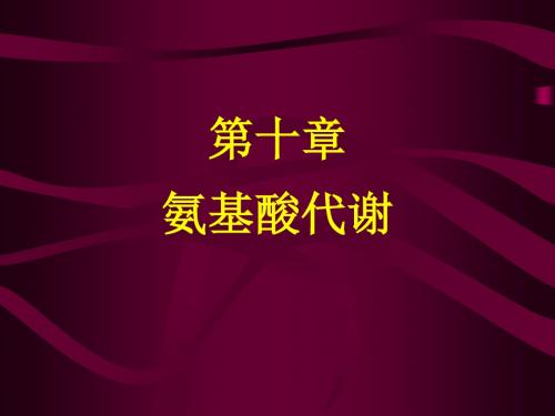 第11章氨基酸代谢-精选文档99页