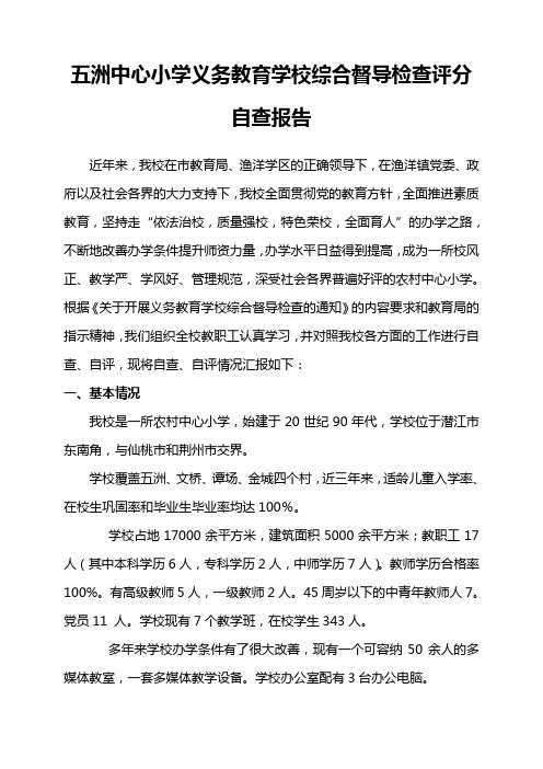 五小综合督导检查自查报告