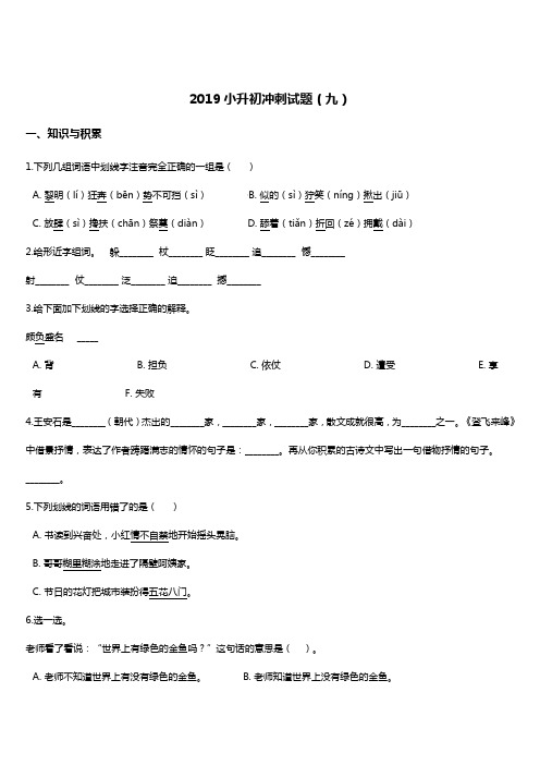 2019年小升初名校冲刺语文试题(9) 人教新课标 含答案