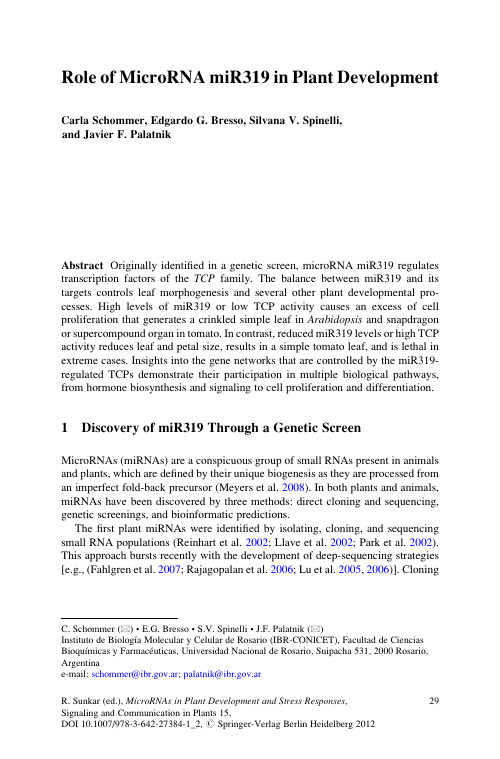 Role of MicroRNA miR319 in Plant Development