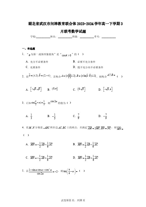 湖北省武汉市问津教育联合体2023-2024学年高一下学期3月联考数学试题