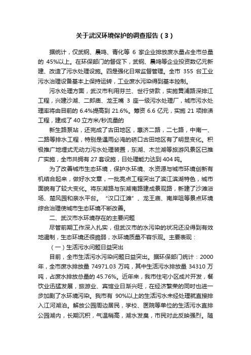 关于武汉环境保护的调查报告（3）