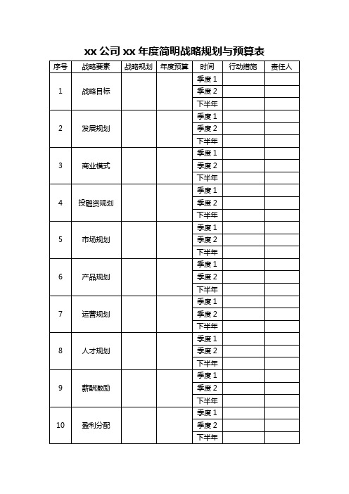 战略规划与预算简表