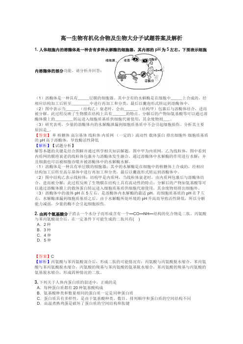 高一生物有机化合物及生物大分子试题答案及解析
