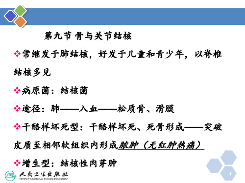 骨关节结核影像表现 ppt课件