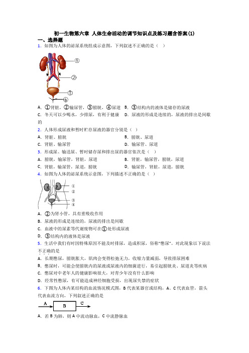 初一生物第六章 人体生命活动的调节知识点及练习题含答案(1)