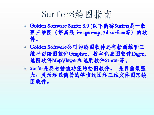 surfer详细入门教程