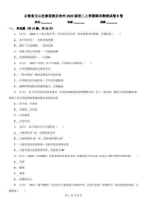 云南省文山壮族苗族自治州2020版初二上学期期末物理试卷B卷