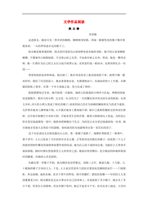 江苏省南京市浦口区石桥中学中考语文复习 文学作品阅读