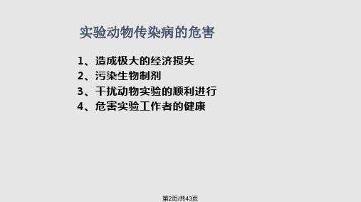 dd实验动物常见传染性疾病概述实验动物传染病的危害