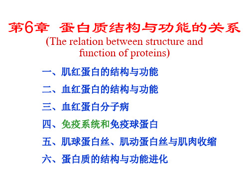 生物化学第6章蛋白质结构与功能的关系精品PPT课件