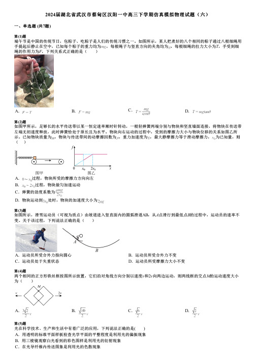 2024届湖北省武汉市蔡甸区汉阳一中高三下学期仿真模拟物理试题(六)