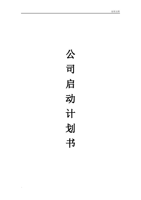 公司启动计划书