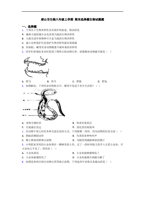 唐山市生物八年级上学期 期末选择题生物试题题