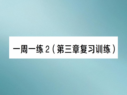 第三章 一周一练2—2020年秋沪科版物理八年级上册作业课件
