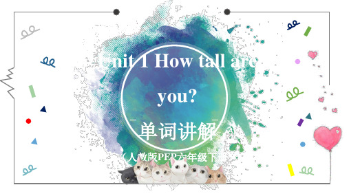 Unit1Howtallareyou_单词讲解(课件)人教PEP版英语六年级上册【02】