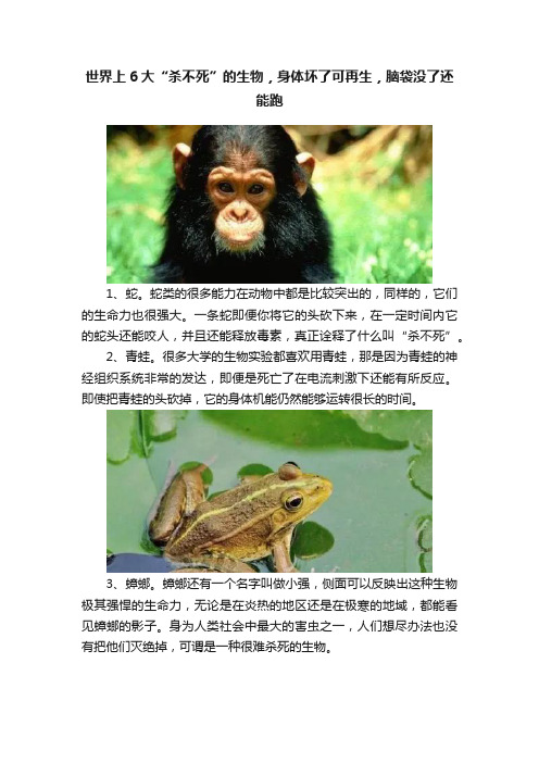 世界上6大“杀不死”的生物，身体坏了可再生，脑袋没了还能跑