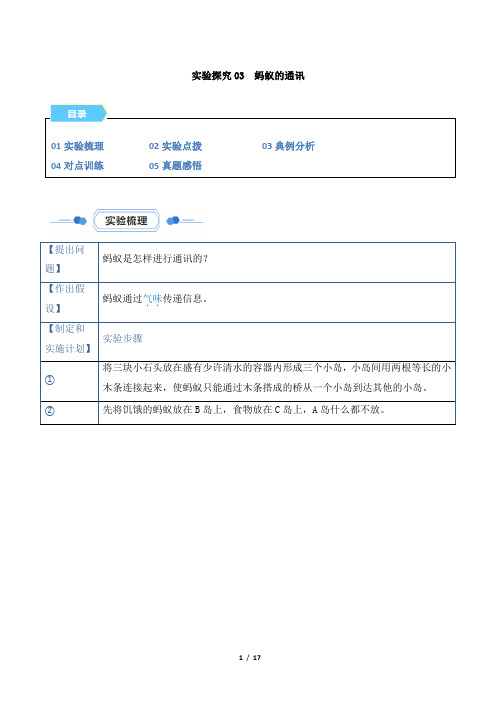 《实验探究03 蚂蚁的通讯》(解析版)