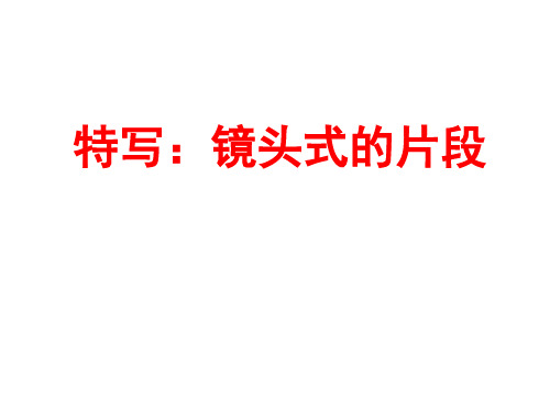 【高中语文】特写：镜头式的片段ppt精品课件