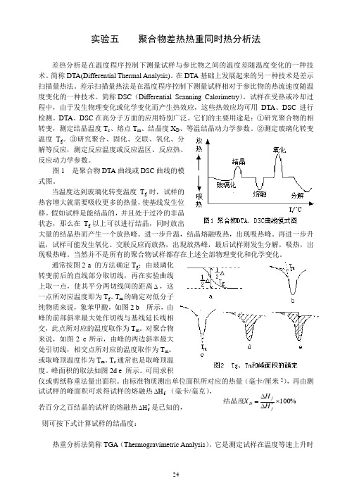 实验1.聚合物的热分析 实验报告