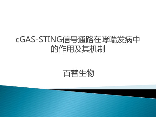 cGAS-STING信号通路在哮喘发病中的作用及其机制