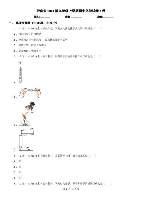 云南省2021版九年级上学期期中化学试卷B卷(新版)